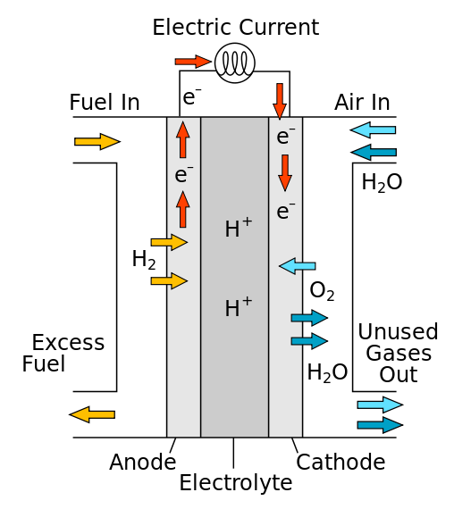 A basic diagram of how a fuel cell works. [Public domain by R.Dervisoglu]