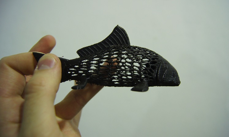 This type of 3D print is fairly common. We saw this little fishy when we visited RoboBeast