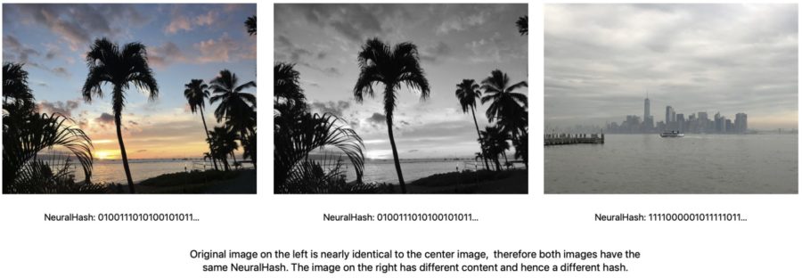 NeuralHash showcase of how the same image will have the same hash regardless of image quality, colour or resolution. The hash is based on image features.