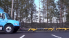 Boston Dynamics SpotMini Truck Pull