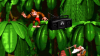 Donkey Kong Country Generic H