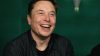 Elon-Musk-Meme-Review