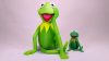 Kermit 3D Print H