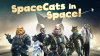 SpaceCats in Space Header