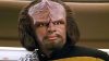 klingon-senate-candidate