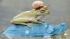 meta-segment-anything-turtle-frog-snail